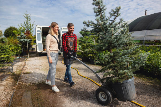 Best Tree Trimming and Pruning  in La Homa, TX